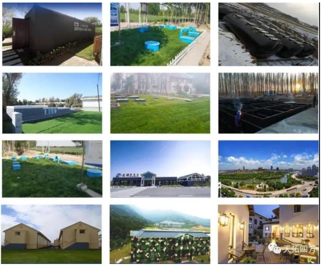 0618_175152_768.jpg image.png